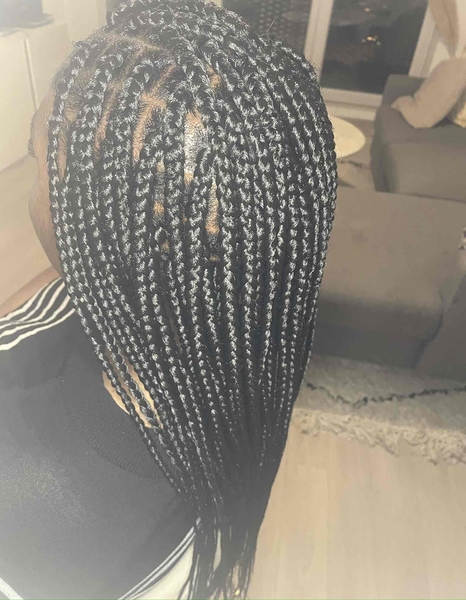 salon de coiffure afro tresse tresses box braids crochet braids vanilles tissages paris 75 77 78 91 92 93 94 95 QMIMSSBJ