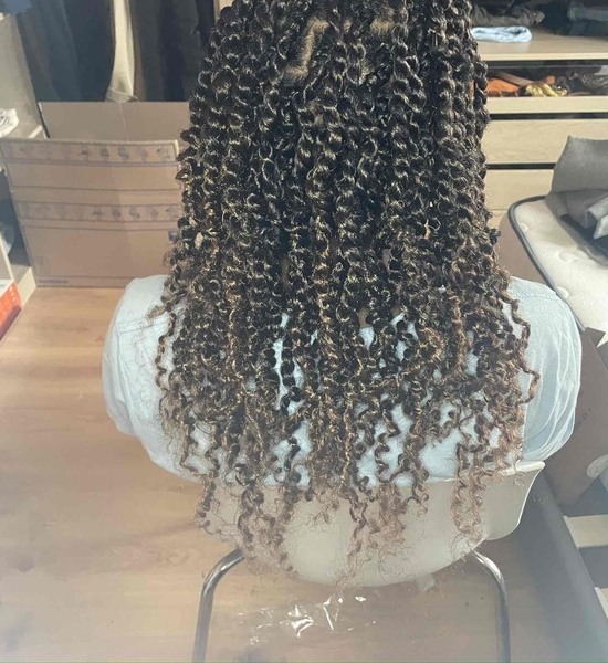 salon de coiffure afro tresse tresses box braids crochet braids vanilles tissages paris 75 77 78 91 92 93 94 95 PVKAYIFU