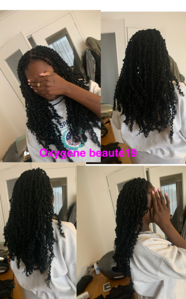 salon de coiffure afro tresse tresses box braids crochet braids vanilles tissages paris 75 77 78 91 92 93 94 95 PNETQDIH