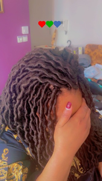 salon de coiffure afro tresse tresses box braids crochet braids vanilles tissages paris 75 77 78 91 92 93 94 95 SKYKFEXK