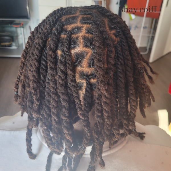 salon de coiffure afro tresse tresses box braids crochet braids vanilles tissages paris 75 77 78 91 92 93 94 95 LFUFEICG