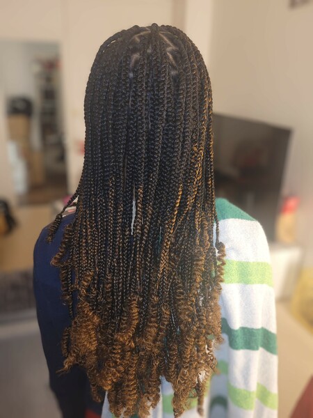 salon de coiffure afro tresse tresses box braids crochet braids vanilles tissages paris 75 77 78 91 92 93 94 95 VDSOQLNU