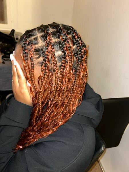 salon de coiffure afro tresse tresses box braids crochet braids vanilles tissages paris 75 77 78 91 92 93 94 95 SAEGFYQS