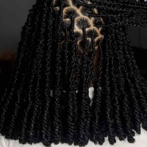 salon de coiffure afro tresse tresses box braids crochet braids vanilles tissages paris 75 77 78 91 92 93 94 95 IQUHWWQK