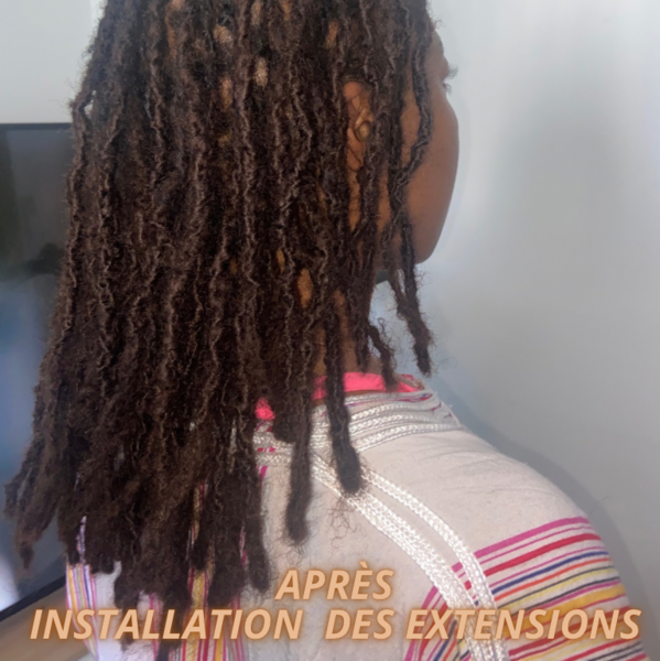 salon de coiffure afro tresse tresses box braids crochet braids vanilles tissages paris 75 77 78 91 92 93 94 95 LPYLEXQR