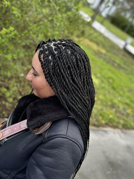 salon de coiffure afro tresse tresses box braids crochet braids vanilles tissages paris 75 77 78 91 92 93 94 95 MOVHTKHL