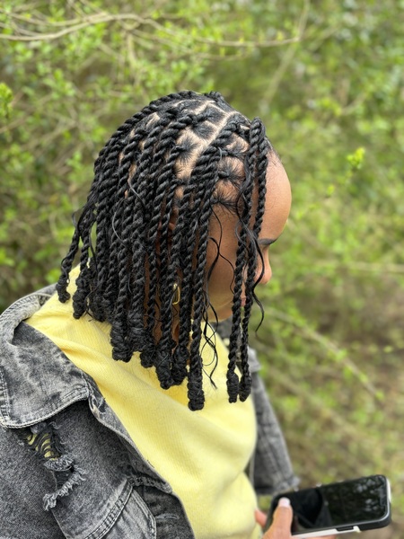 salon de coiffure afro tresse tresses box braids crochet braids vanilles tissages paris 75 77 78 91 92 93 94 95 BPJYDVGE