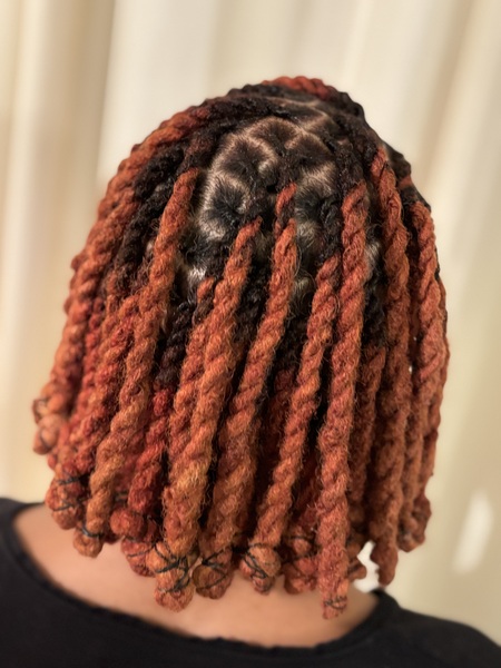 salon de coiffure afro tresse tresses box braids crochet braids vanilles tissages paris 75 77 78 91 92 93 94 95 VZJUNAQP
