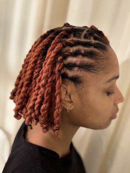 salon de coiffure afro tresse tresses box braids crochet braids vanilles tissages paris 75 77 78 91 92 93 94 95 RGZSNYXK