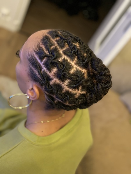 salon de coiffure afro tresse tresses box braids crochet braids vanilles tissages paris 75 77 78 91 92 93 94 95 QFZQIBSG