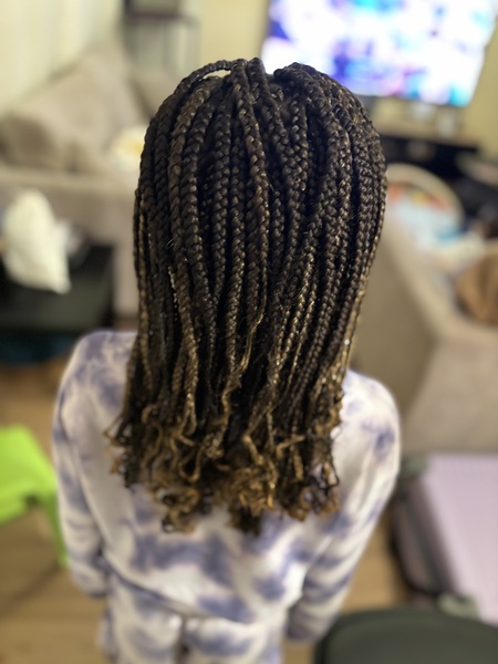 salon de coiffure afro tresse tresses box braids crochet braids vanilles tissages paris 75 77 78 91 92 93 94 95 FIRBJMOH