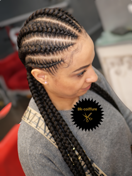 salon de coiffure afro tresse tresses box braids crochet braids vanilles tissages paris 75 77 78 91 92 93 94 95 SNBHUVGU