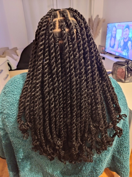salon de coiffure afro tresse tresses box braids crochet braids vanilles tissages paris 75 77 78 91 92 93 94 95 BKZUPDTJ