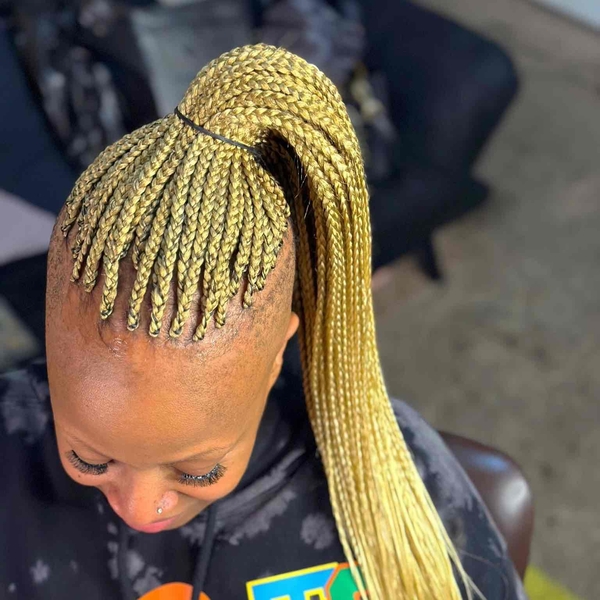 salon de coiffure afro tresse tresses box braids crochet braids vanilles tissages paris 75 77 78 91 92 93 94 95 YCKYLKQN