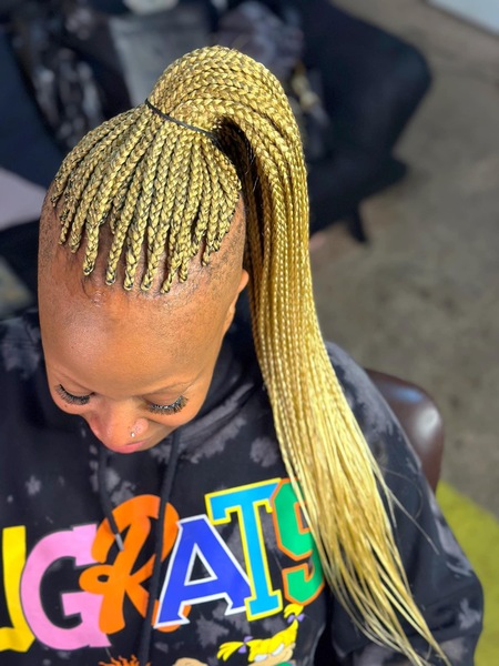 salon de coiffure afro tresse tresses box braids crochet braids vanilles tissages paris 75 77 78 91 92 93 94 95 IUXUSTBY