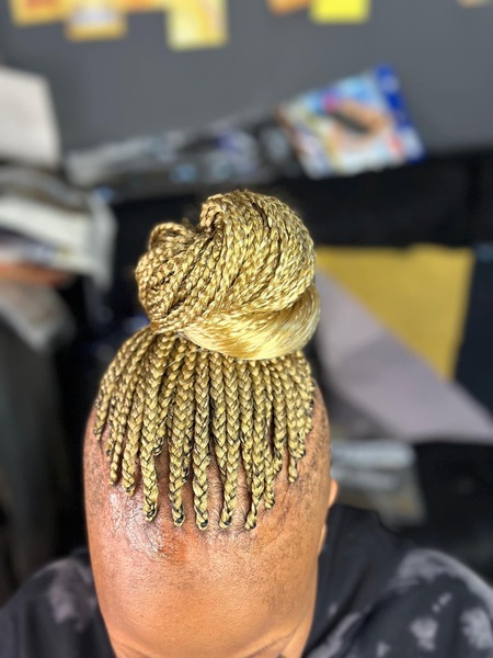 salon de coiffure afro tresse tresses box braids crochet braids vanilles tissages paris 75 77 78 91 92 93 94 95 HMCNOSZS
