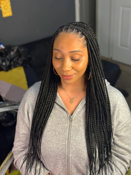 salon de coiffure afro tresse tresses box braids crochet braids vanilles tissages paris 75 77 78 91 92 93 94 95 LJJBJXYC