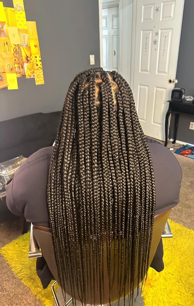 salon de coiffure afro tresse tresses box braids crochet braids vanilles tissages paris 75 77 78 91 92 93 94 95 SSXKBBYP