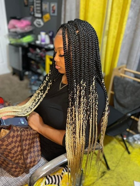 salon de coiffure afro tresse tresses box braids crochet braids vanilles tissages paris 75 77 78 91 92 93 94 95 WIXFLGGI