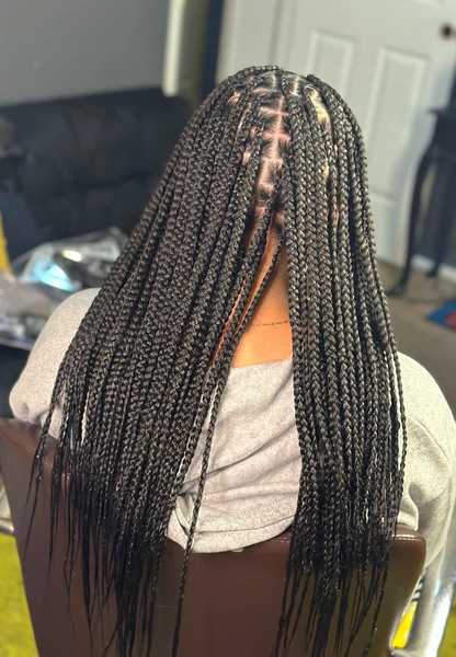 salon de coiffure afro tresse tresses box braids crochet braids vanilles tissages paris 75 77 78 91 92 93 94 95 SLMRGSRQ