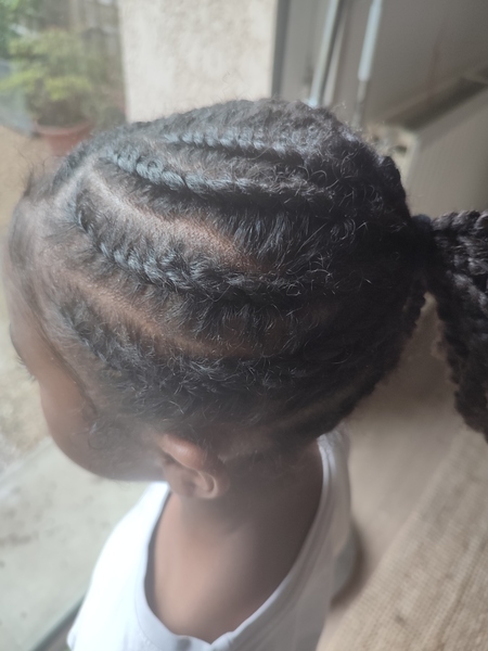 salon de coiffure afro tresse tresses box braids crochet braids vanilles tissages paris 75 77 78 91 92 93 94 95 EJXRKLSY