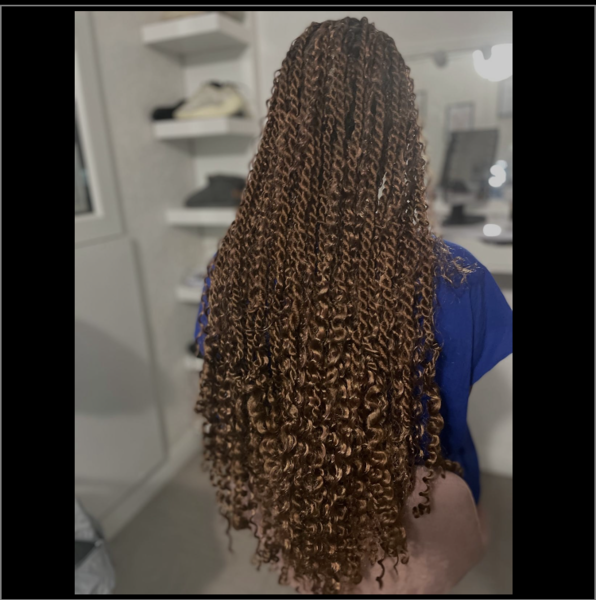 salon de coiffure afro tresse tresses box braids crochet braids vanilles tissages paris 75 77 78 91 92 93 94 95 DTNEGPQK