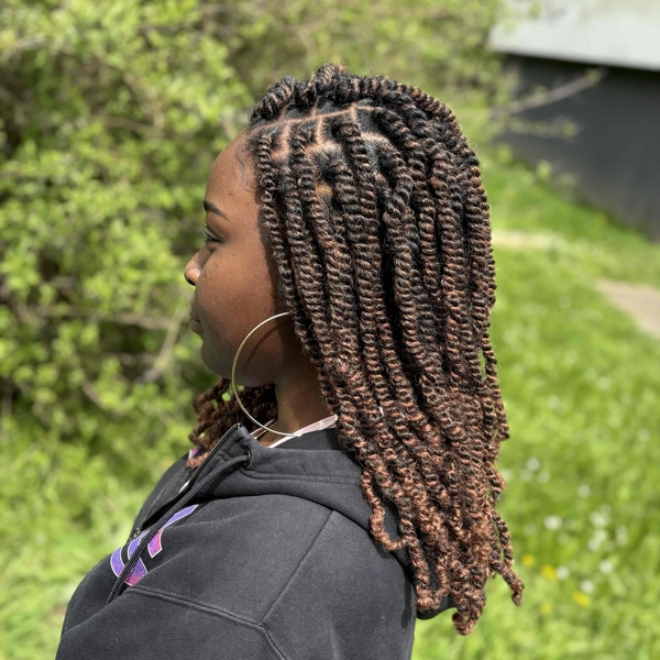 salon de coiffure afro tresse tresses box braids crochet braids vanilles tissages paris 75 77 78 91 92 93 94 95 FABRRJDV