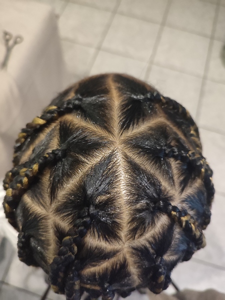 salon de coiffure afro tresse tresses box braids crochet braids vanilles tissages paris 75 77 78 91 92 93 94 95 BSHXMJBD