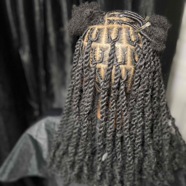 salon de coiffure afro tresse tresses box braids crochet braids vanilles tissages paris 75 77 78 91 92 93 94 95 ZFHZMQRA