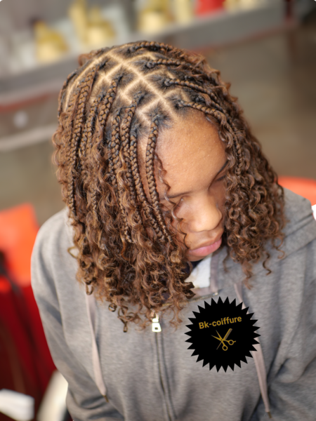 salon de coiffure afro tresse tresses box braids crochet braids vanilles tissages paris 75 77 78 91 92 93 94 95 NHMWBWRM