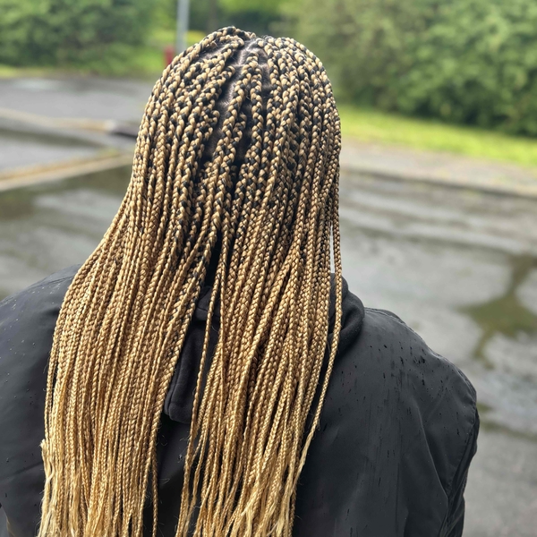 salon de coiffure afro tresse tresses box braids crochet braids vanilles tissages paris 75 77 78 91 92 93 94 95 SEOYOFNY