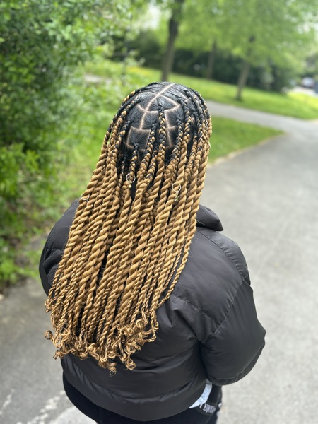 salon de coiffure afro tresse tresses box braids crochet braids vanilles tissages paris 75 77 78 91 92 93 94 95 KGMAUZHV
