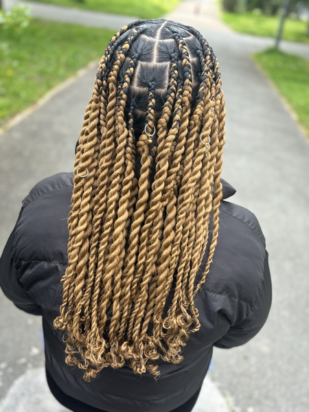 salon de coiffure afro tresse tresses box braids crochet braids vanilles tissages paris 75 77 78 91 92 93 94 95 KLVYHWPE