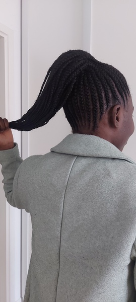 salon de coiffure afro tresse tresses box braids crochet braids vanilles tissages paris 75 77 78 91 92 93 94 95 UGHCBDYV