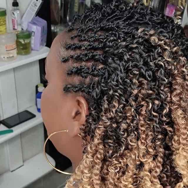 salon de coiffure afro tresse tresses box braids crochet braids vanilles tissages paris 75 77 78 91 92 93 94 95 DVZEIKCO