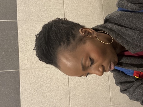 salon de coiffure afro tresse tresses box braids crochet braids vanilles tissages paris 75 77 78 91 92 93 94 95 VWOLDATG