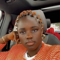 salon de coiffure afro tresse tresses box braids crochet braids vanilles tissages paris 75 77 78 91 92 93 94 95 NDSCUXZF