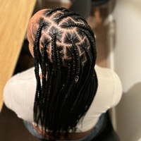 salon de coiffure afro tresse tresses box braids crochet braids vanilles tissages paris 75 77 78 91 92 93 94 95 LFEYELXI