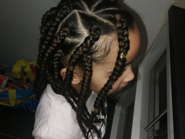 salon de coiffure afro tresse tresses box braids crochet braids vanilles tissages paris 75 77 78 91 92 93 94 95 ZOYWMHDY