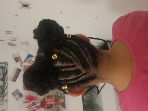 salon de coiffure afro tresse tresses box braids crochet braids vanilles tissages paris 75 77 78 91 92 93 94 95 EMNRCAFP