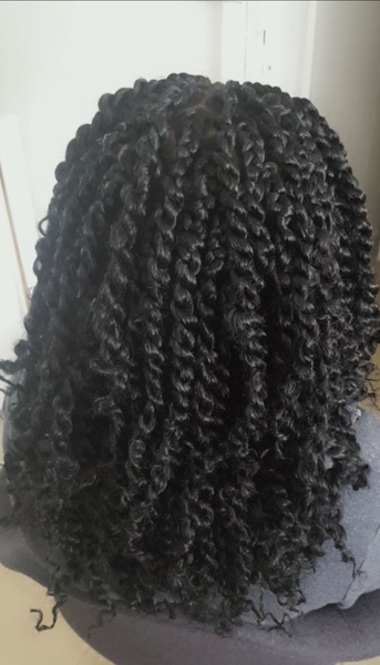 salon de coiffure afro tresse tresses box braids crochet braids vanilles tissages paris 75 77 78 91 92 93 94 95 BPDTRYQZ