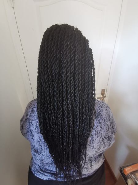 salon de coiffure afro tresse tresses box braids crochet braids vanilles tissages paris 75 77 78 91 92 93 94 95 ZBHMECPS