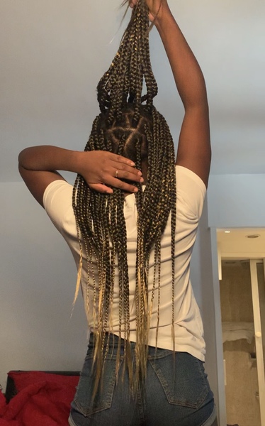 salon de coiffure afro tresse tresses box braids crochet braids vanilles tissages paris 75 77 78 91 92 93 94 95 EQQCFMRS