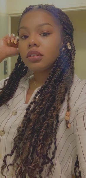 salon de coiffure afro tresse tresses box braids crochet braids vanilles tissages paris 75 77 78 91 92 93 94 95 DCVAHRHZ