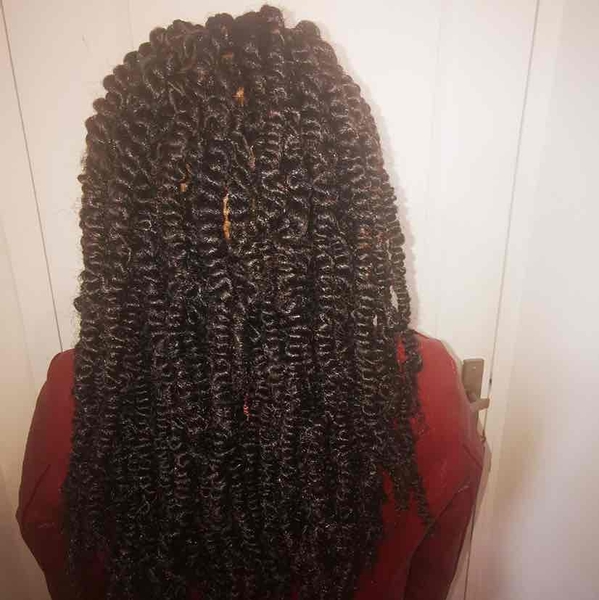 salon de coiffure afro tresse tresses box braids crochet braids vanilles tissages paris 75 77 78 91 92 93 94 95 EZWXPXFD