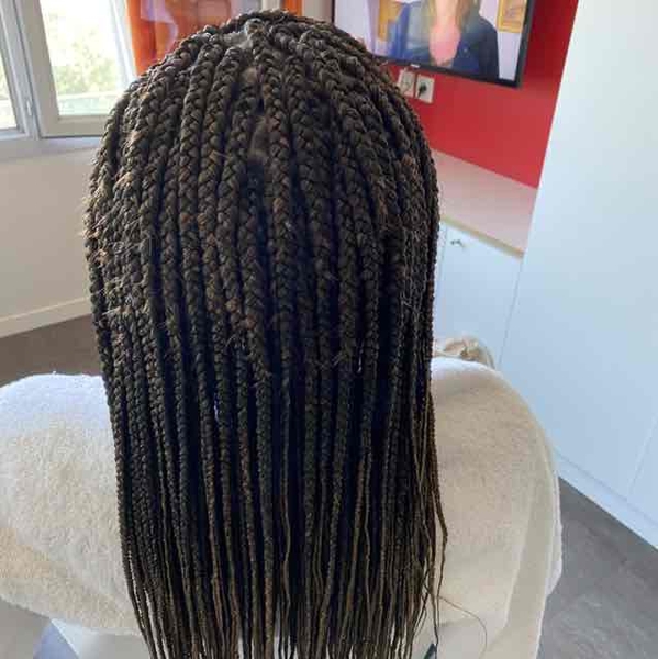 salon de coiffure afro tresse tresses box braids crochet braids vanilles tissages paris 75 77 78 91 92 93 94 95 RDYNHVMJ