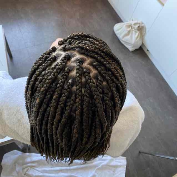 salon de coiffure afro tresse tresses box braids crochet braids vanilles tissages paris 75 77 78 91 92 93 94 95 NPKLEEBR