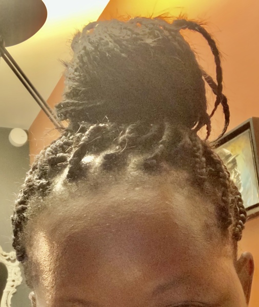salon de coiffure afro tresse tresses box braids crochet braids vanilles tissages paris 75 77 78 91 92 93 94 95 KZWGOFIZ