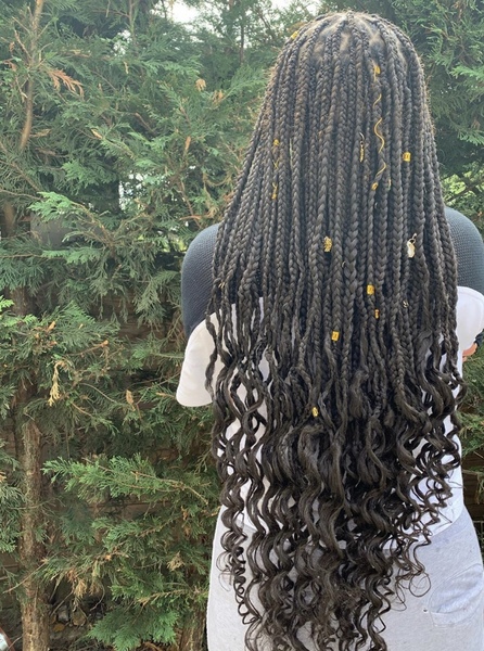 salon de coiffure afro tresse tresses box braids crochet braids vanilles tissages paris 75 77 78 91 92 93 94 95 BROFIQGW