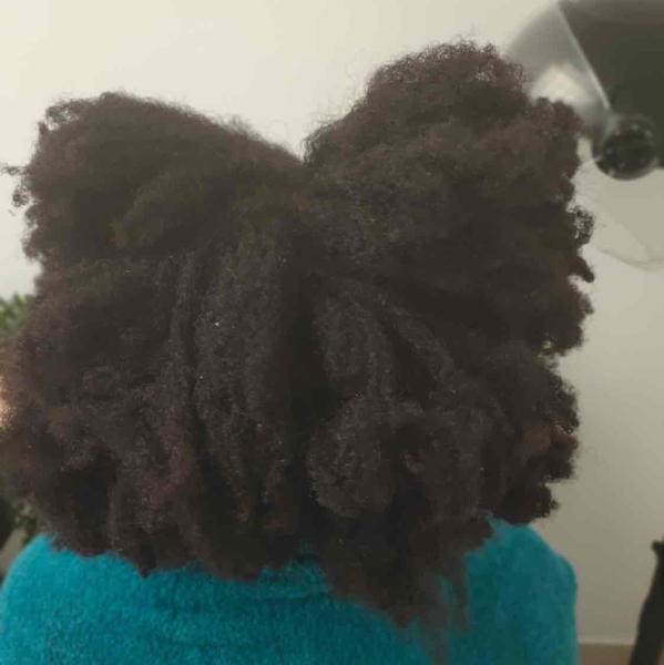 salon de coiffure afro tresse tresses box braids crochet braids vanilles tissages paris 75 77 78 91 92 93 94 95 IFBFQICS